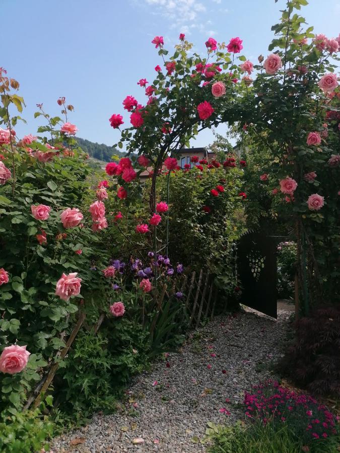 B&B 7E Art Vevey Dış mekan fotoğraf